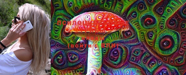 марки lsd Белокуриха