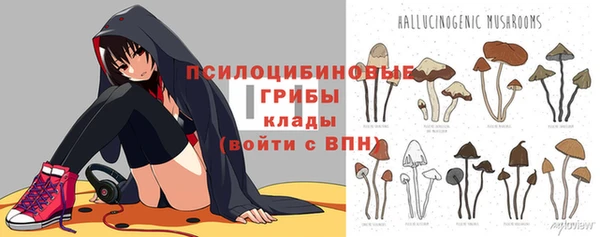 марки lsd Белокуриха